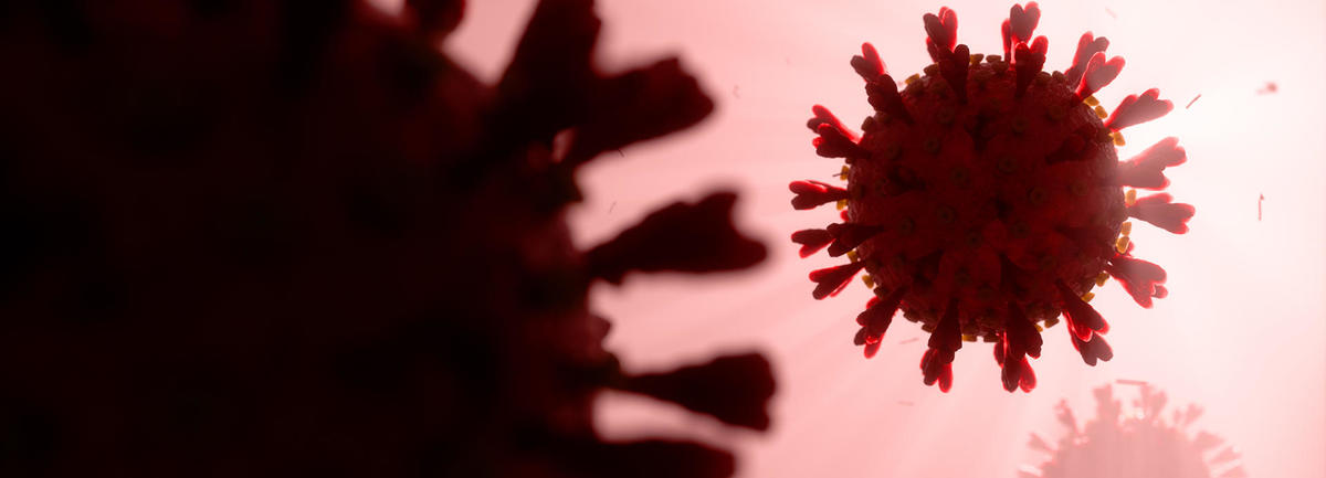 coronavirus_drupal.jpg coronavirus_drupal.jpg